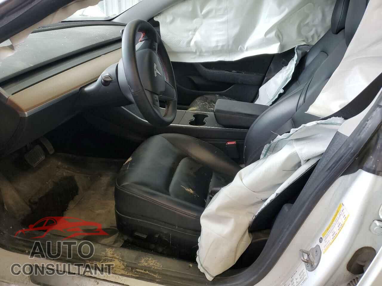 TESLA MODEL 3 2019 - 5YJ3E1EB3KF494292