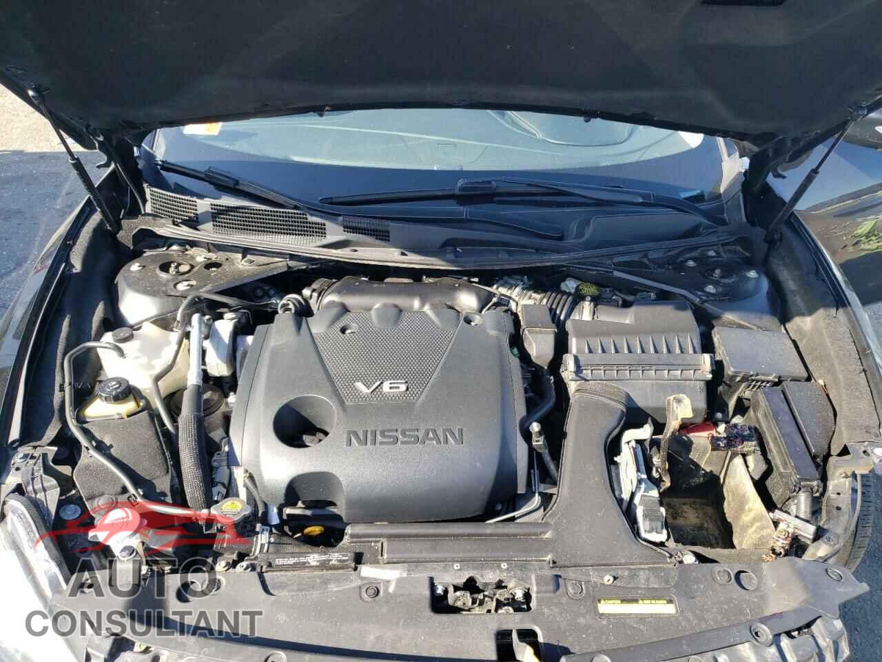 NISSAN MAXIMA 2017 - 1N4AA6AP1HC411925