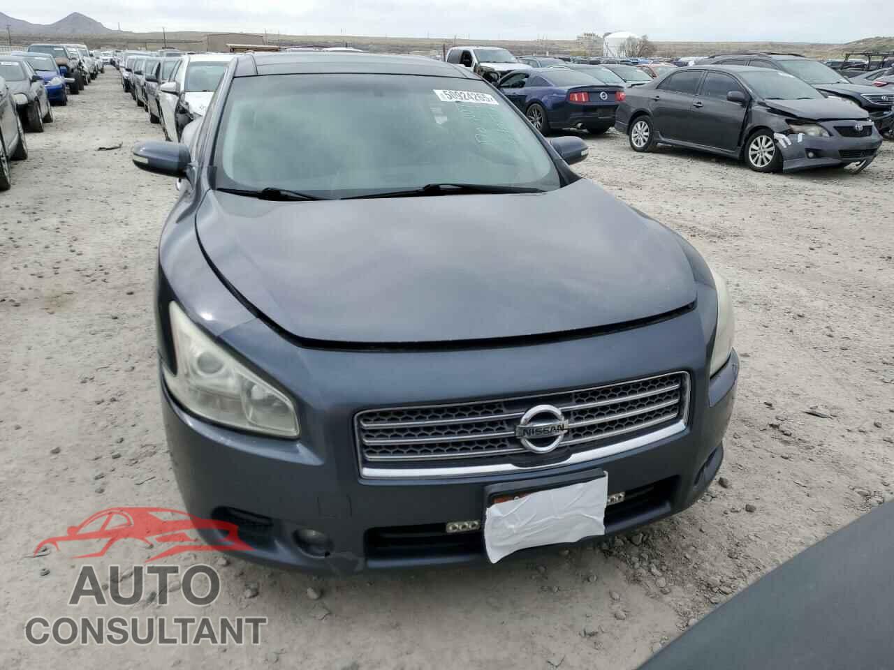 NISSAN MAXIMA 2009 - 1N4AA51E99C807112