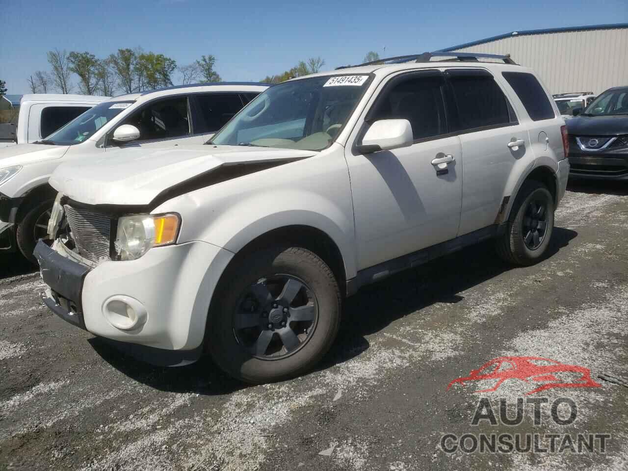 FORD ESCAPE 2011 - 1FMCU0EG9BKC42666