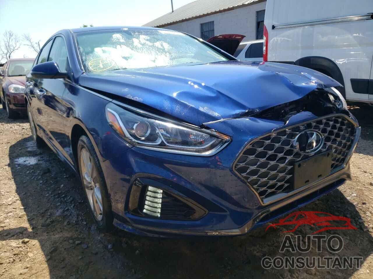 HYUNDAI SONATA 2019 - 5NPE34AF6KH750225