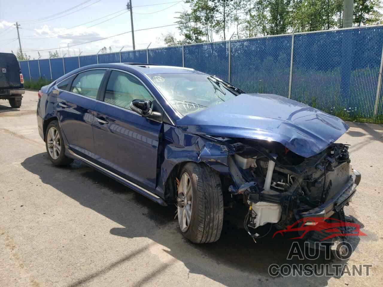 HYUNDAI SONATA 2019 - 5NPE34AF0KH736904