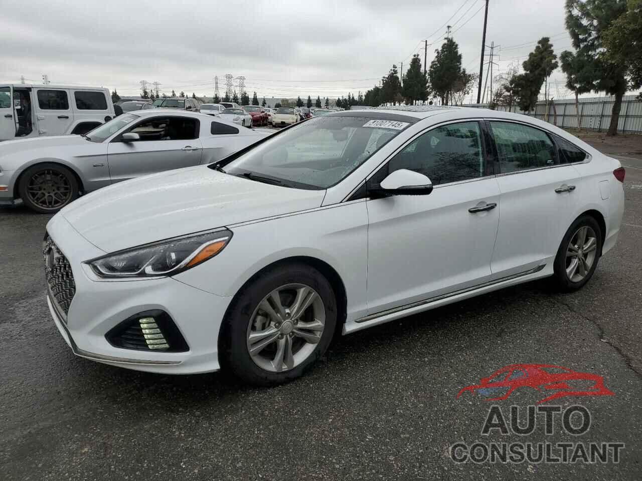HYUNDAI SONATA 2018 - 5NPE34AF4JH609538