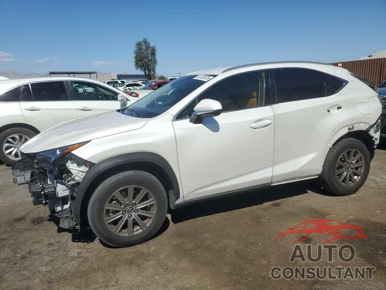 LEXUS NX 2021 - JTJDARBZ9M5031557