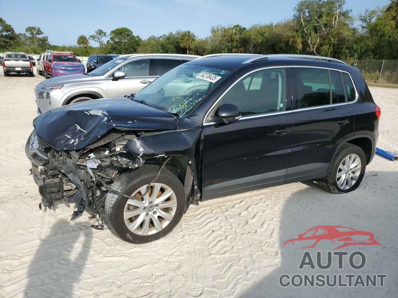 VOLKSWAGEN TIGUAN 2009 - WVGBV75N19W507633