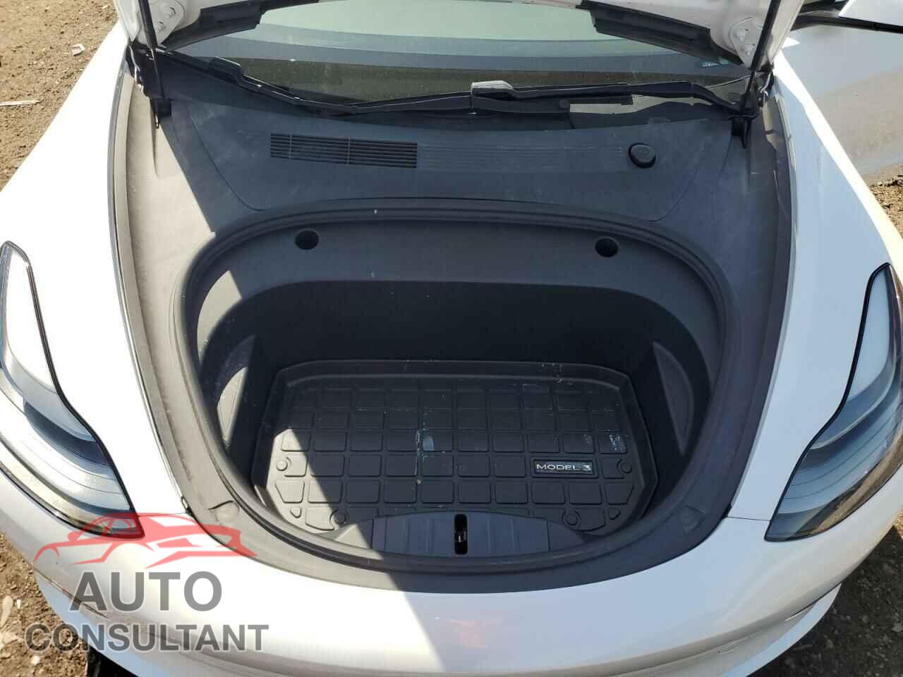 TESLA MODEL 3 2021 - 5YJ3E1EAXMF977983