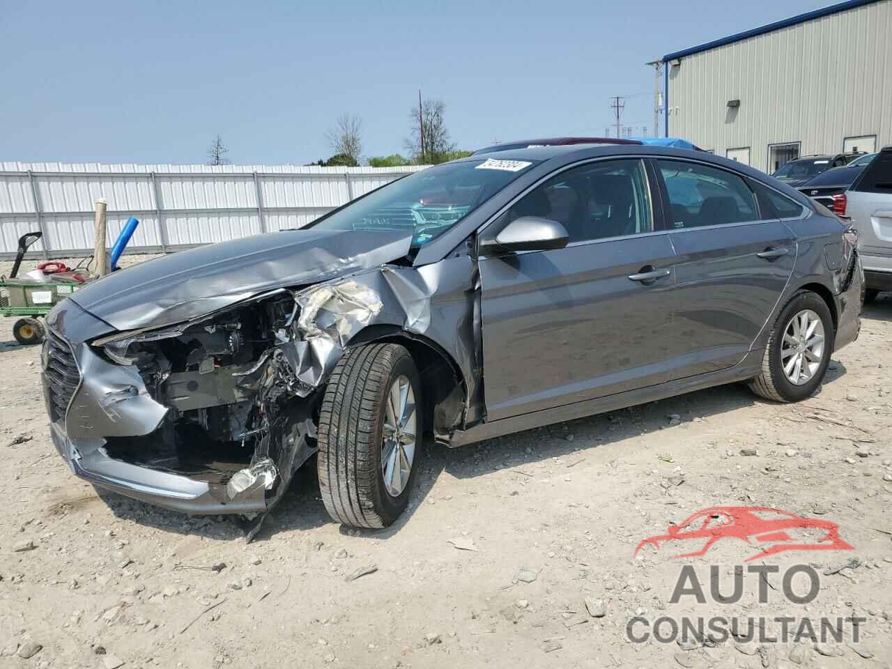 HYUNDAI SONATA 2019 - 5NPE24AF6KH747098