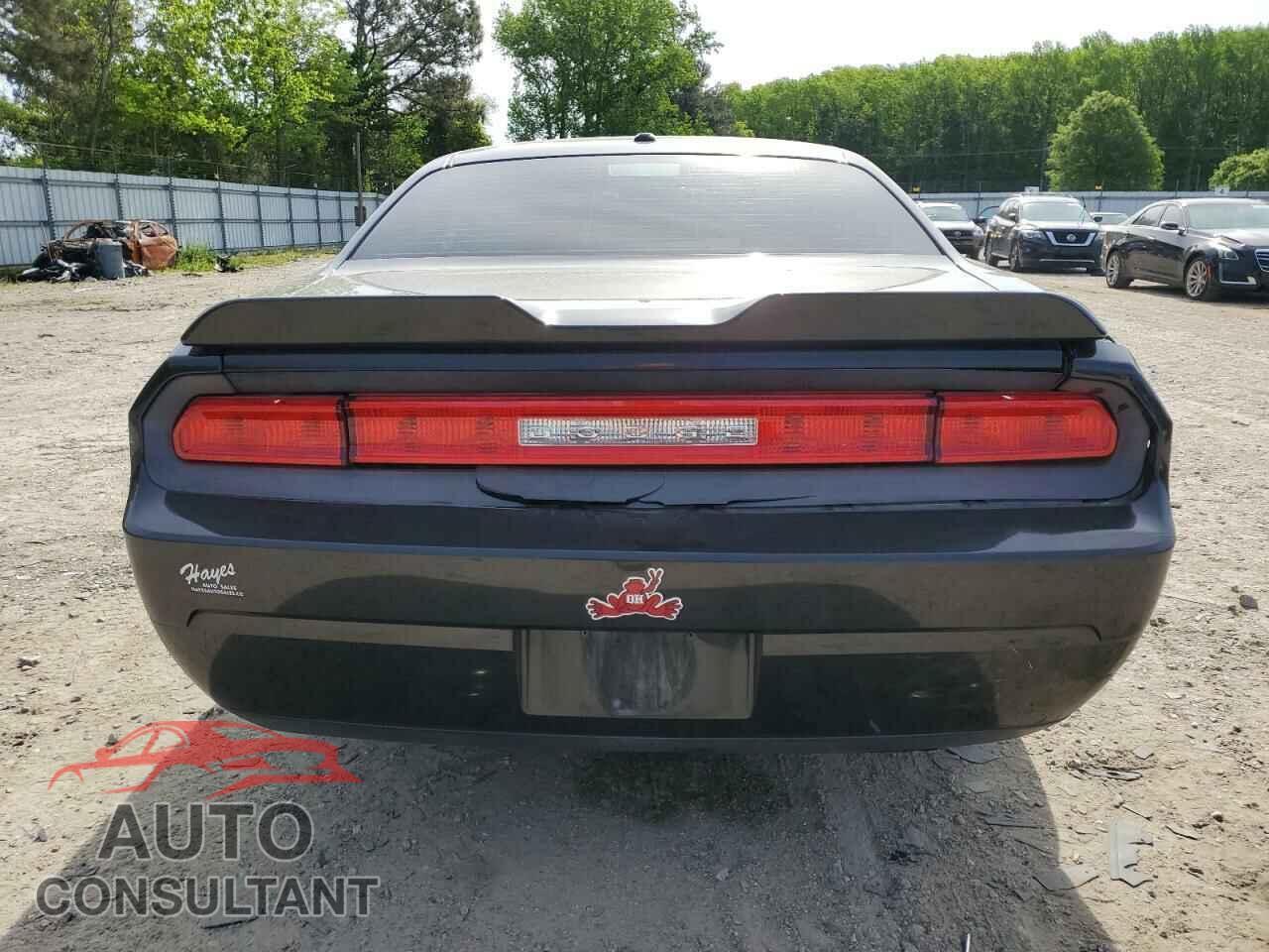 DODGE CHALLENGER 2010 - 2B3CJ4DV3AH219900