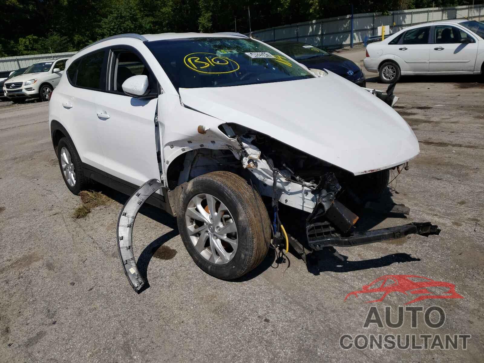 HYUNDAI TUCSON 2019 - KM8J33A46KU891577