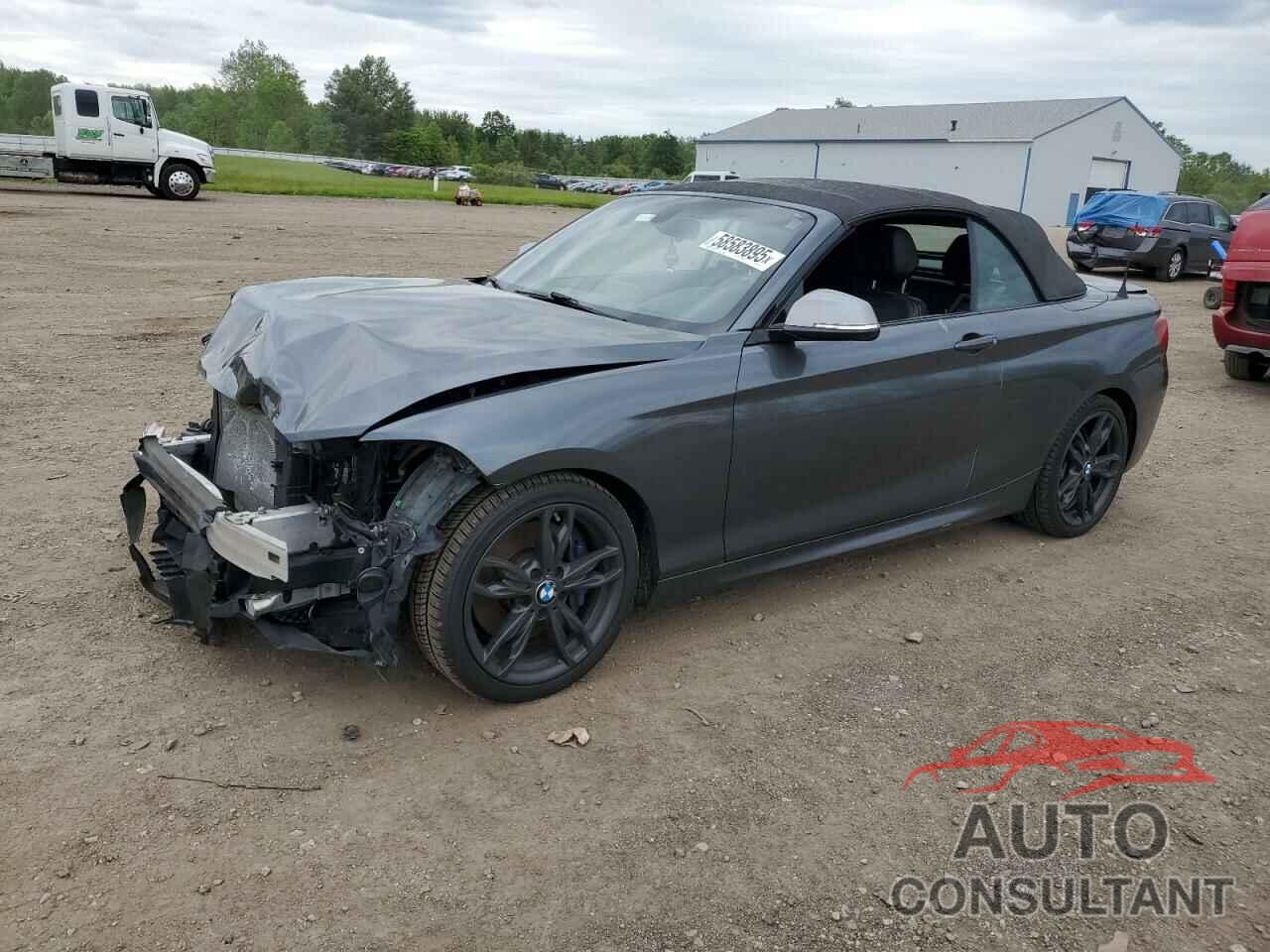 BMW M2 2017 - WBA2L3C50HV667168