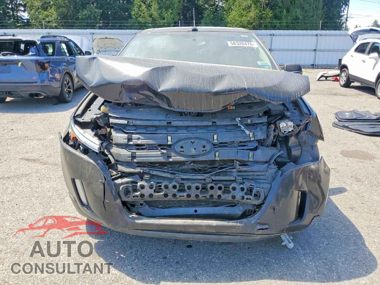 FORD EDGE 2013 - 2FMDK4KC6DBB60538
