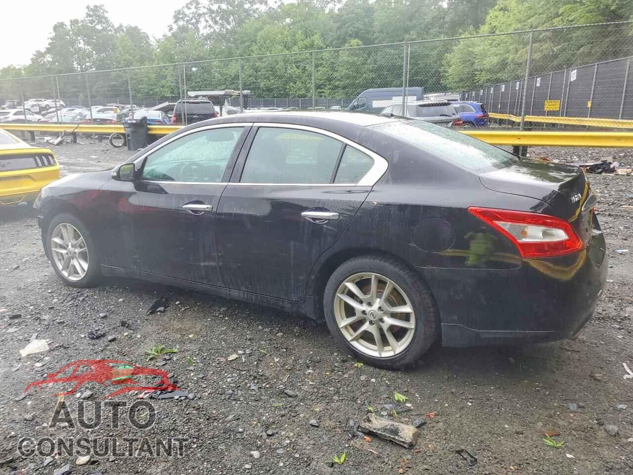 NISSAN MAXIMA 2011 - 1N4AA5AP1BC819567
