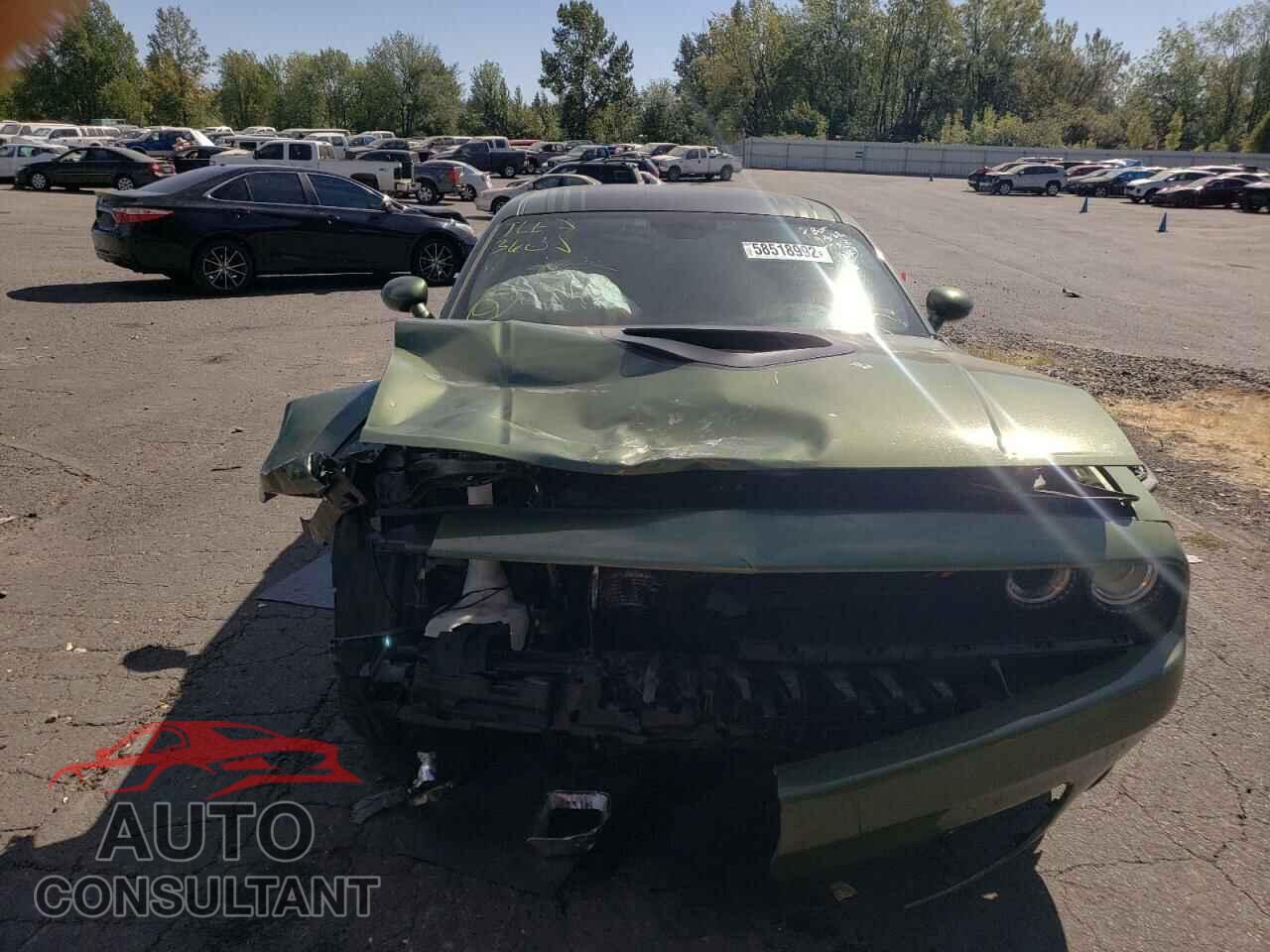 DODGE CHALLENGER 2019 - 2C3CDZBT5KH747903