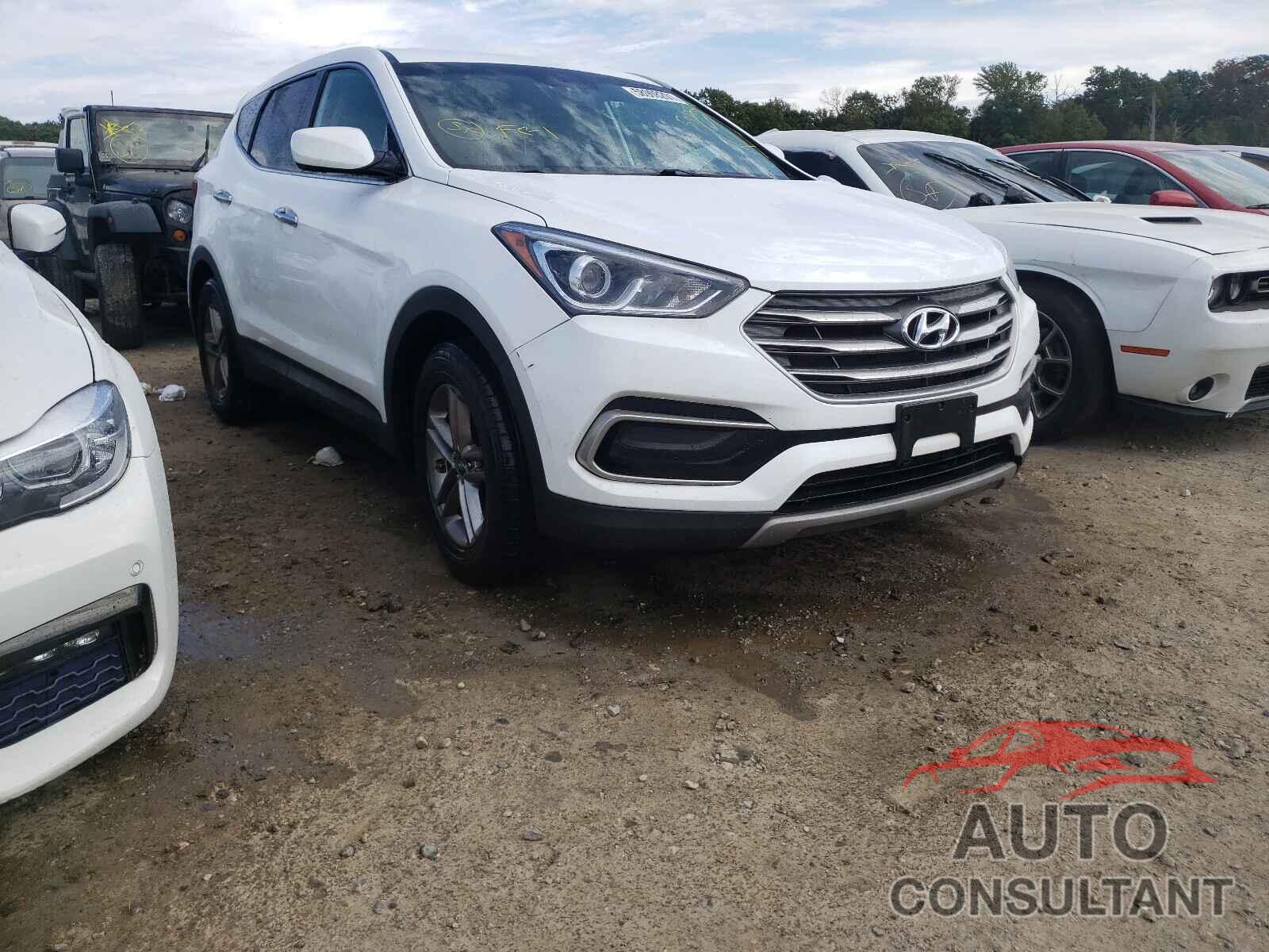 HYUNDAI SANTA FE 2017 - 5NMZT3LB7HH039175