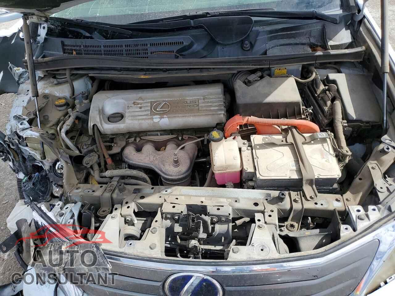 LEXUS HS 2010 - JTHBB1BA8A2014215