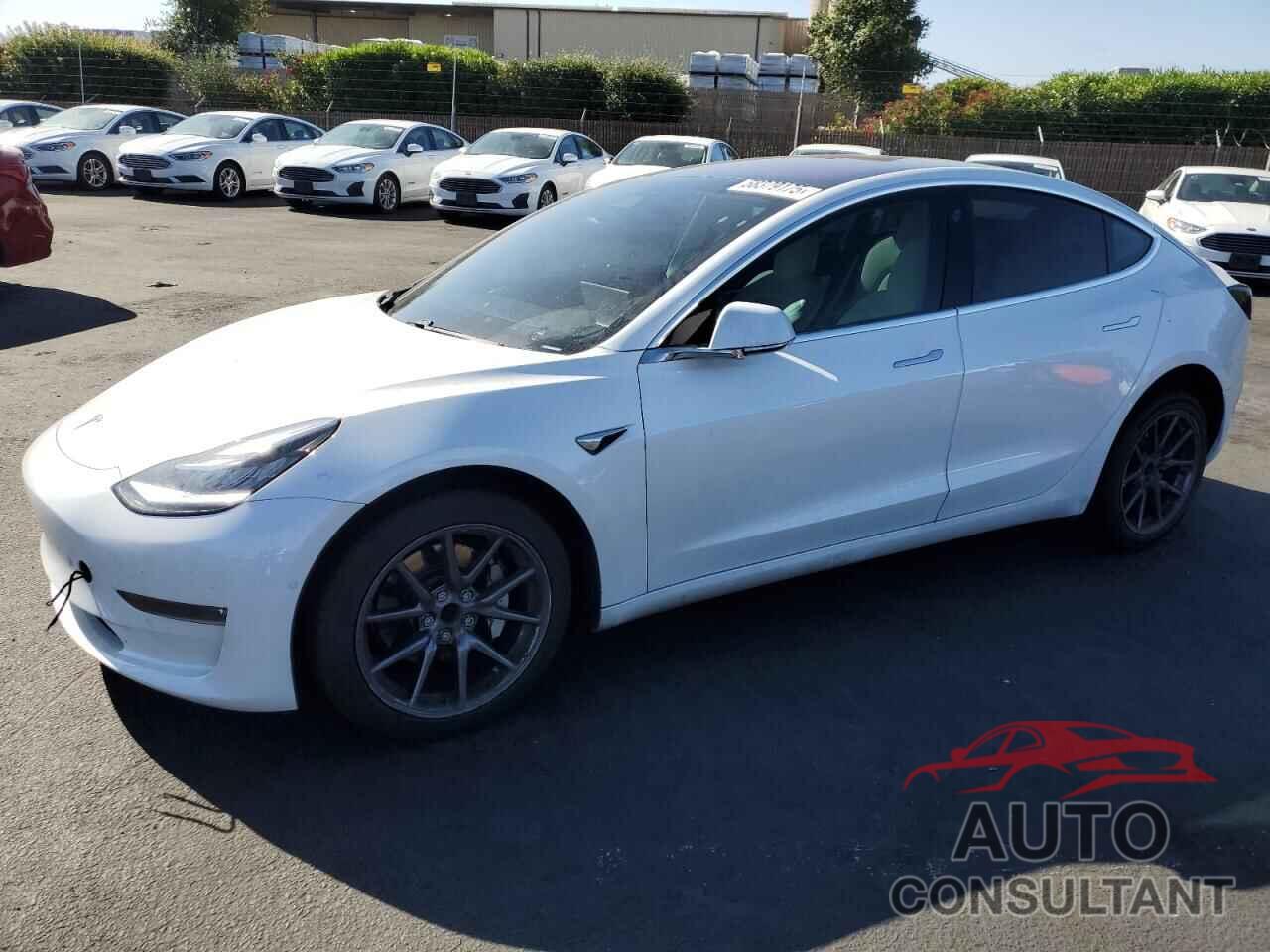 TESLA MODEL 3 2019 - 5YJ3E1EA1KF327209