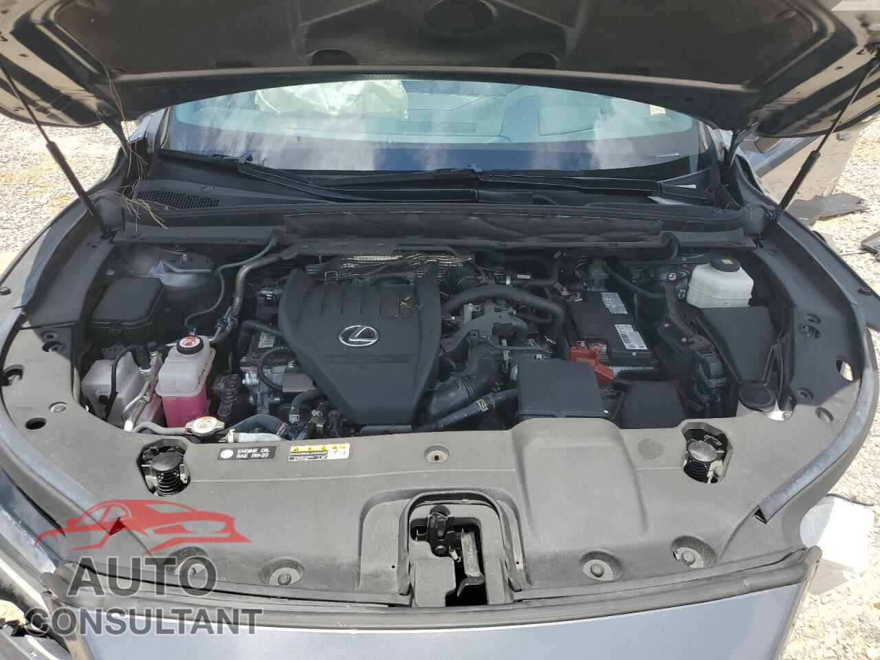 LEXUS RX350 2023 - 2T2BAMBA3PC006020