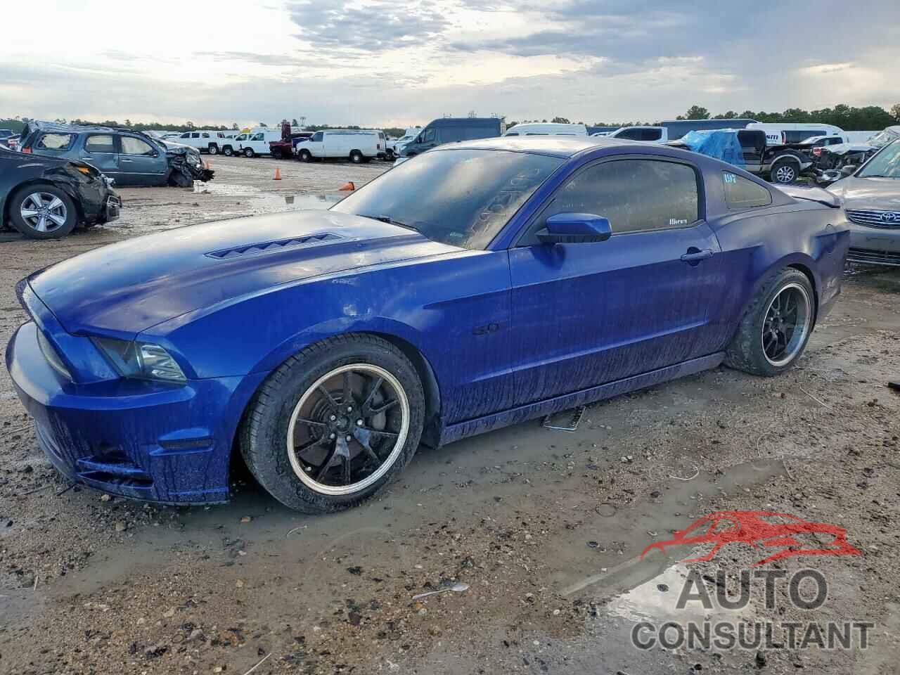 FORD MUSTANG 2013 - 1ZVBP8CF1D5244913