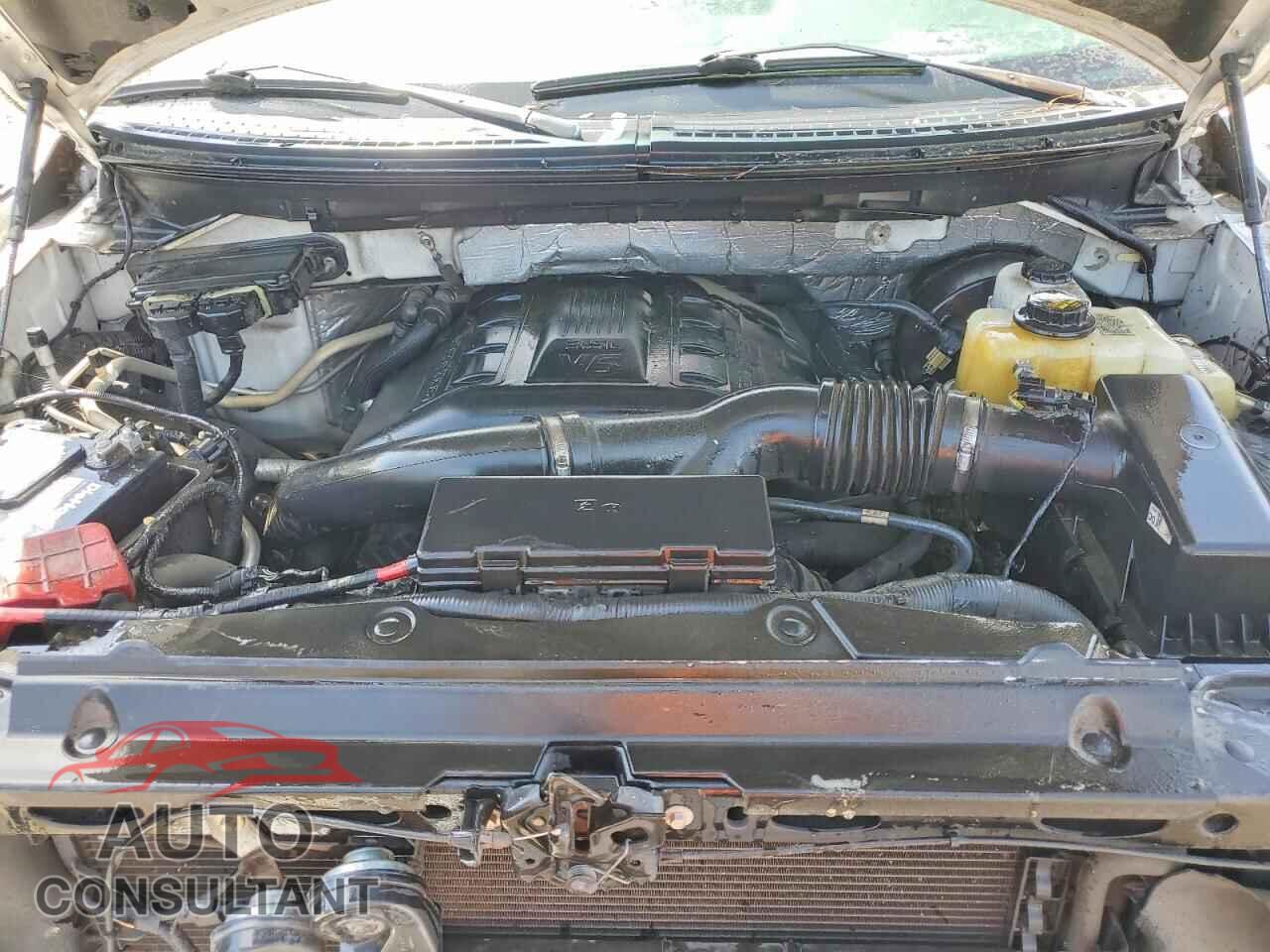 FORD F150 2013 - 1FTFX1CT7DKF32955