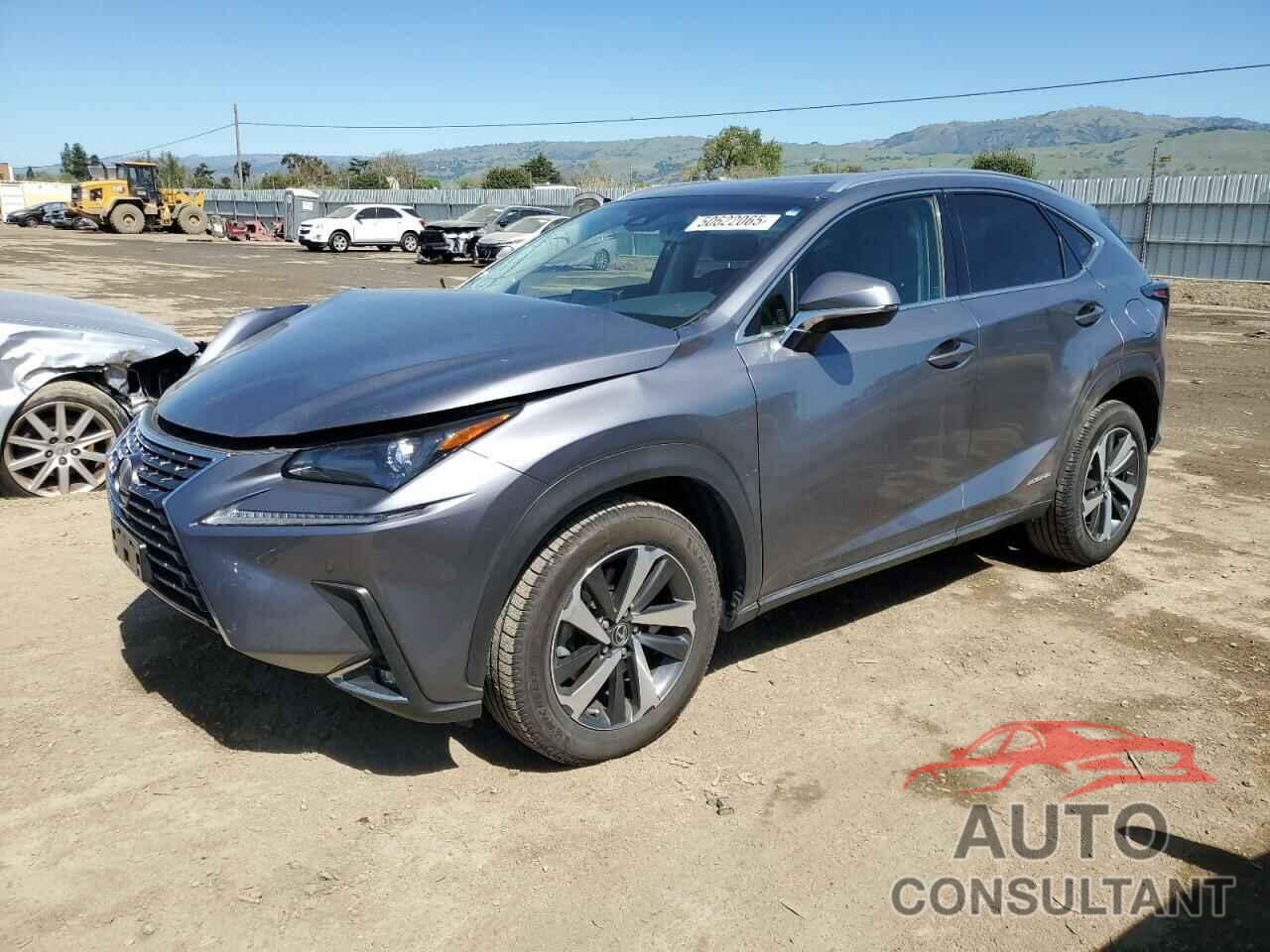 LEXUS NX 2019 - JTJBJRBZ1K2106287