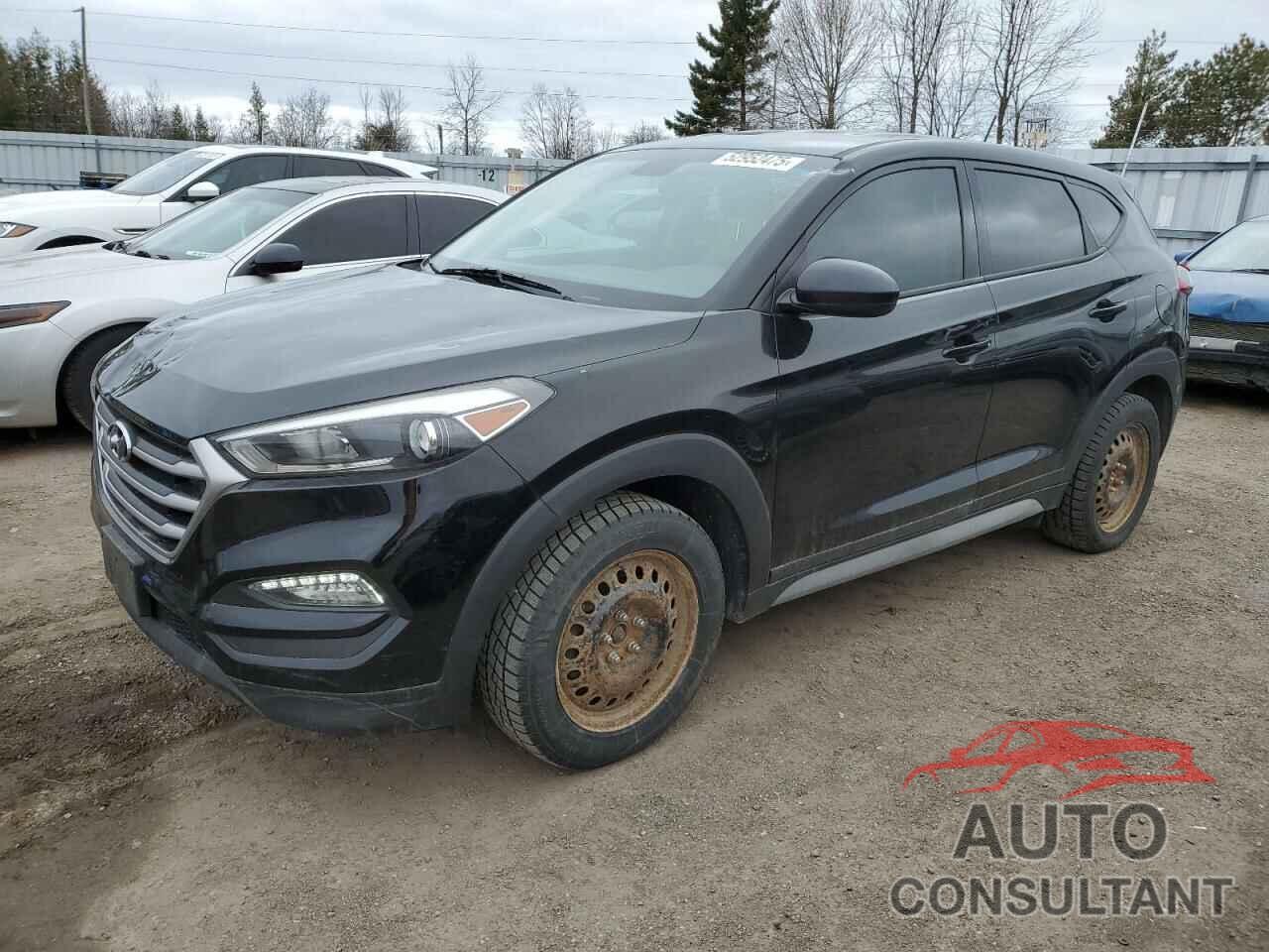 HYUNDAI TUCSON 2017 - KM8J2CA46HU444632
