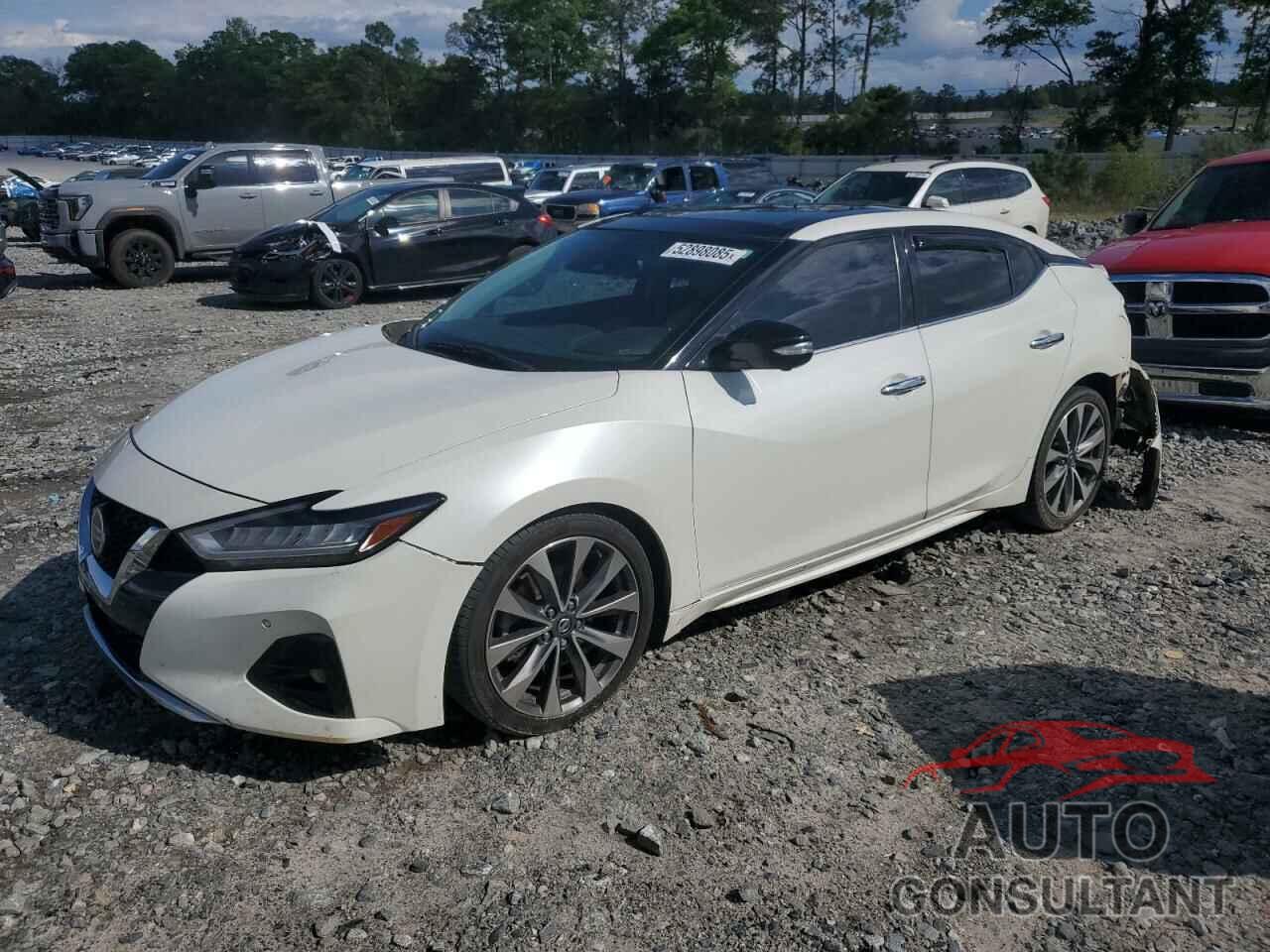NISSAN MAXIMA 2019 - 1N4AA6AV5KC375016