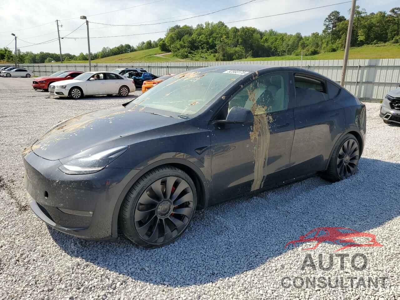 TESLA MODEL Y 2024 - 7SAYGDEF1RF038664