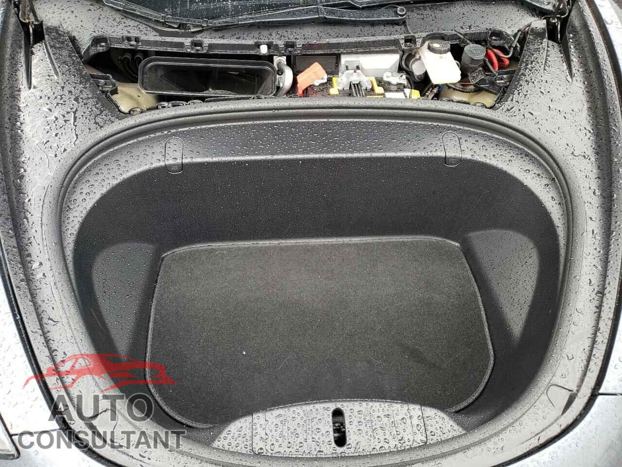 TESLA MODEL 3 2019 - 5YJ3E1EB3KF386416