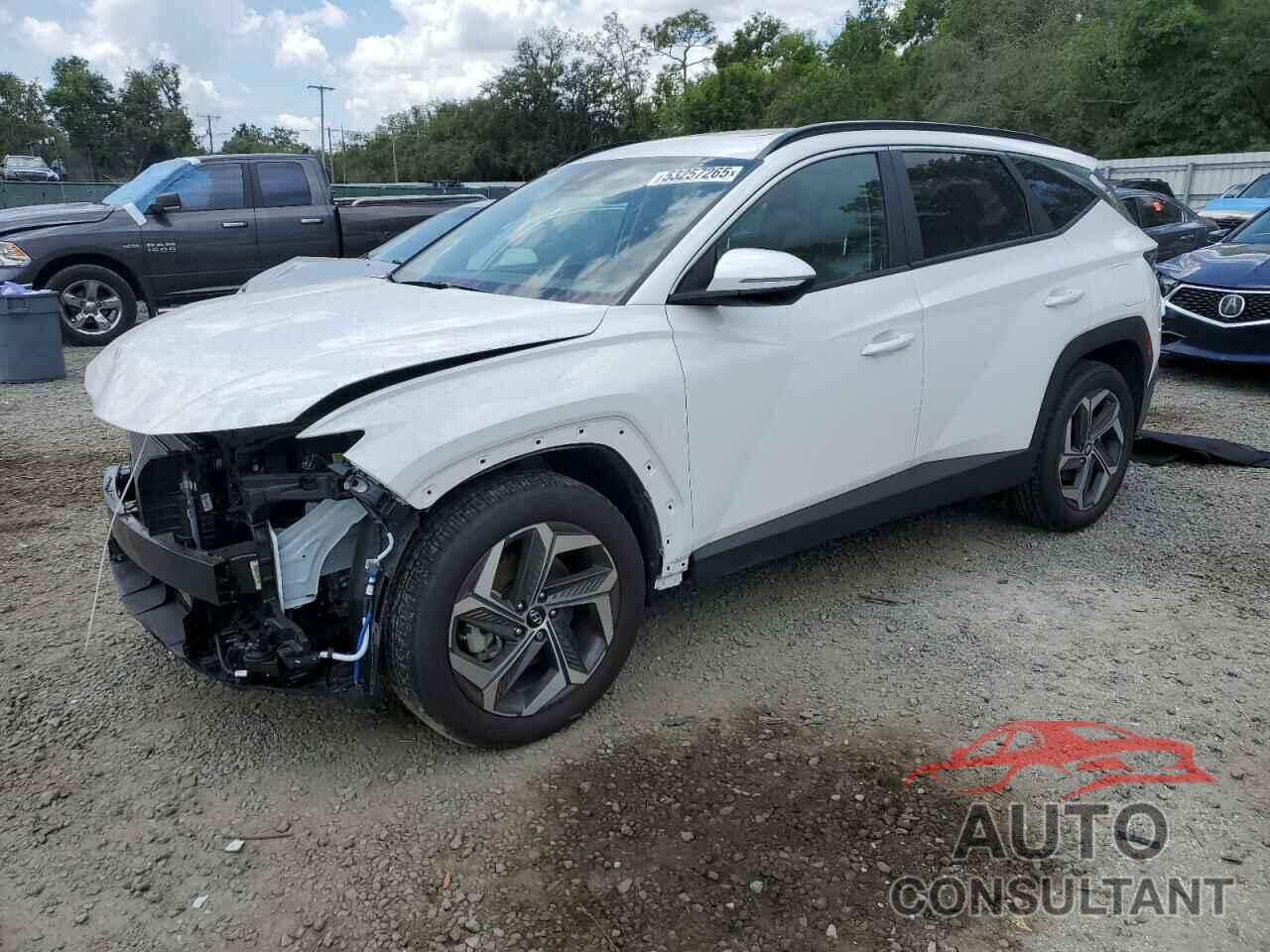 HYUNDAI TUCSON 2024 - 5NMJF3DE1RH433737