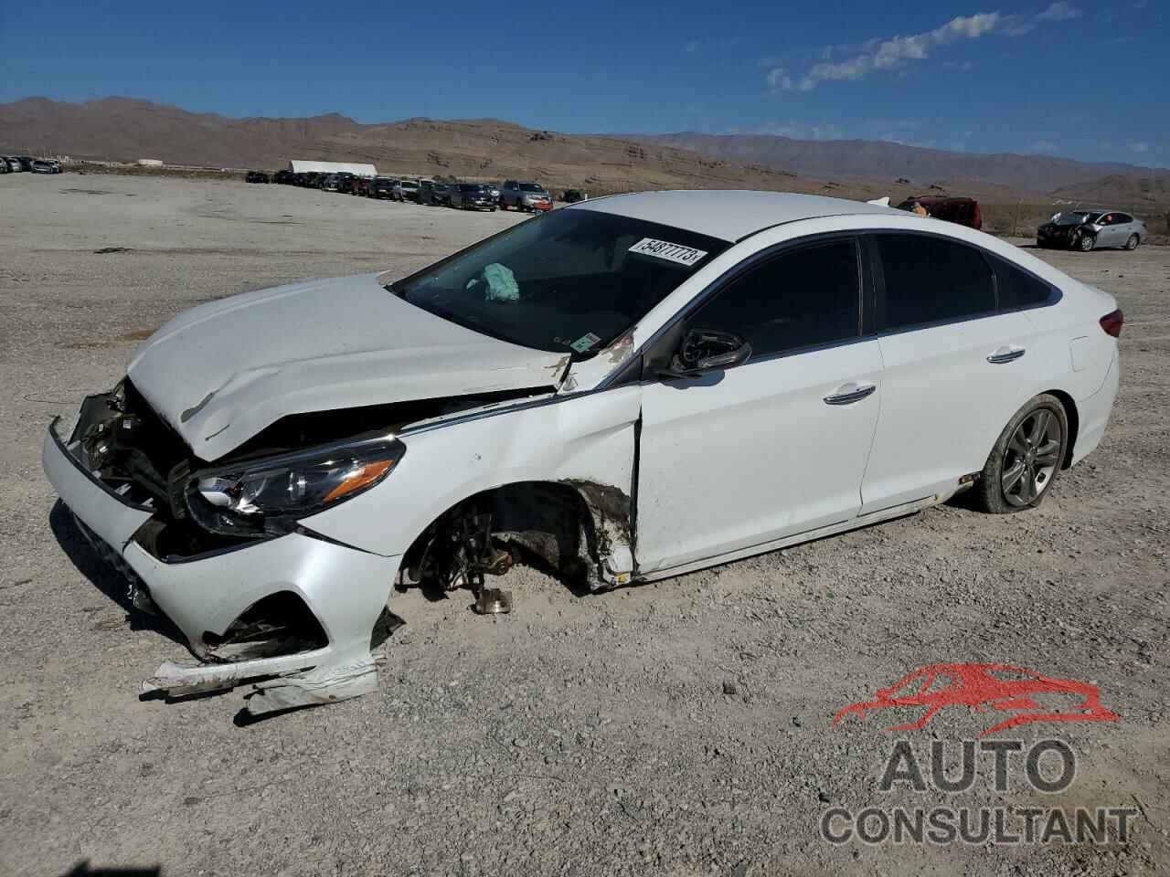 HYUNDAI SONATA 2019 - 5NPE34AF6KH779479
