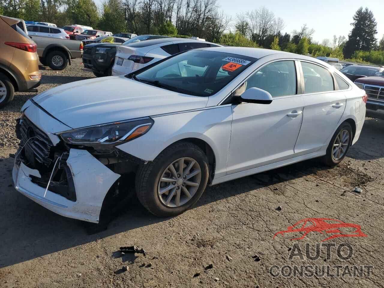 HYUNDAI SONATA 2019 - 5NPE24AF3KH761525