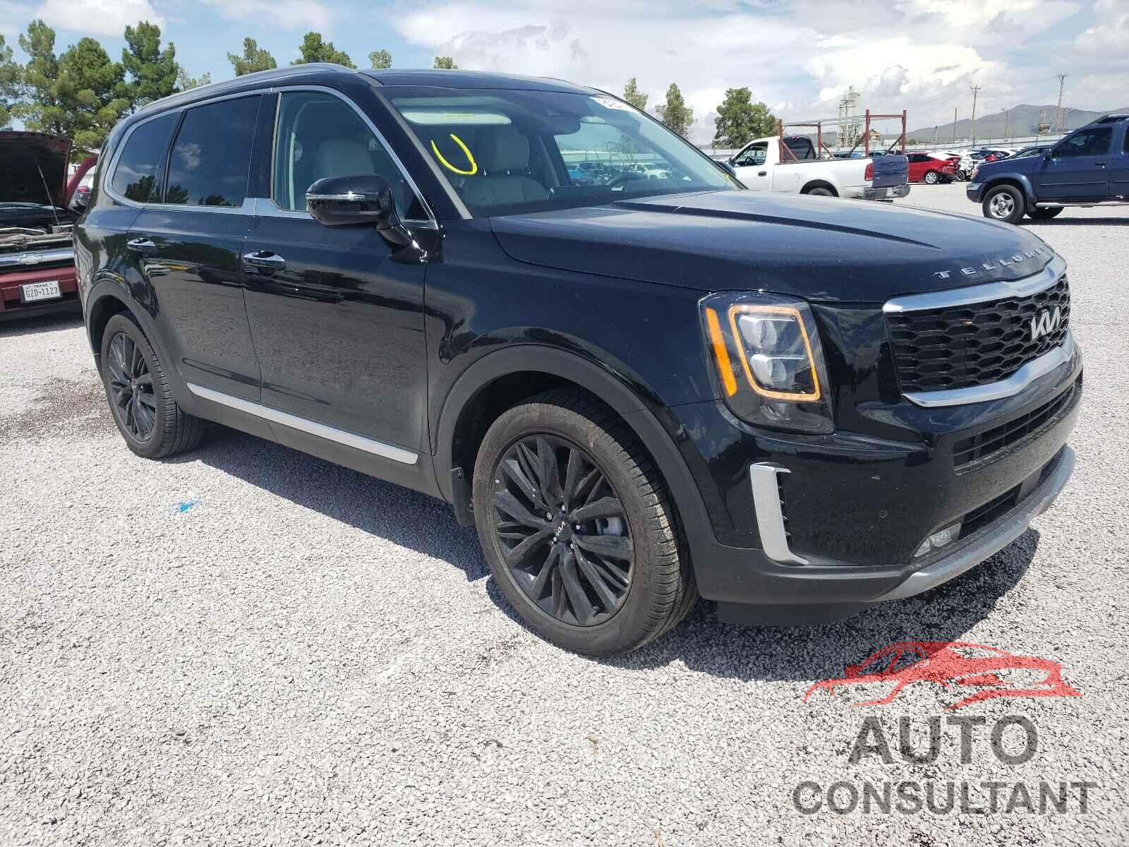 KIA TELLURIDE 2022 - 5XYP54HC5NG201965