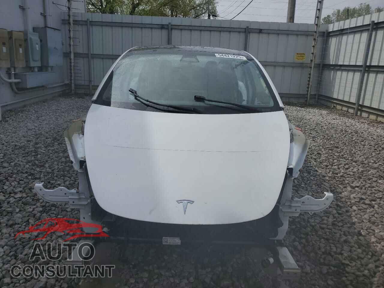 TESLA MODEL 3 2019 - 5YJ3E1EA6KF401661