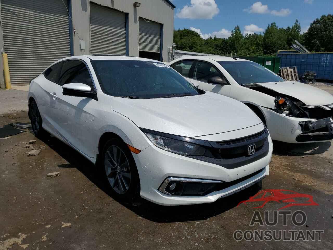 HONDA CIVIC 2019 - 2HGFC3B36KH350064