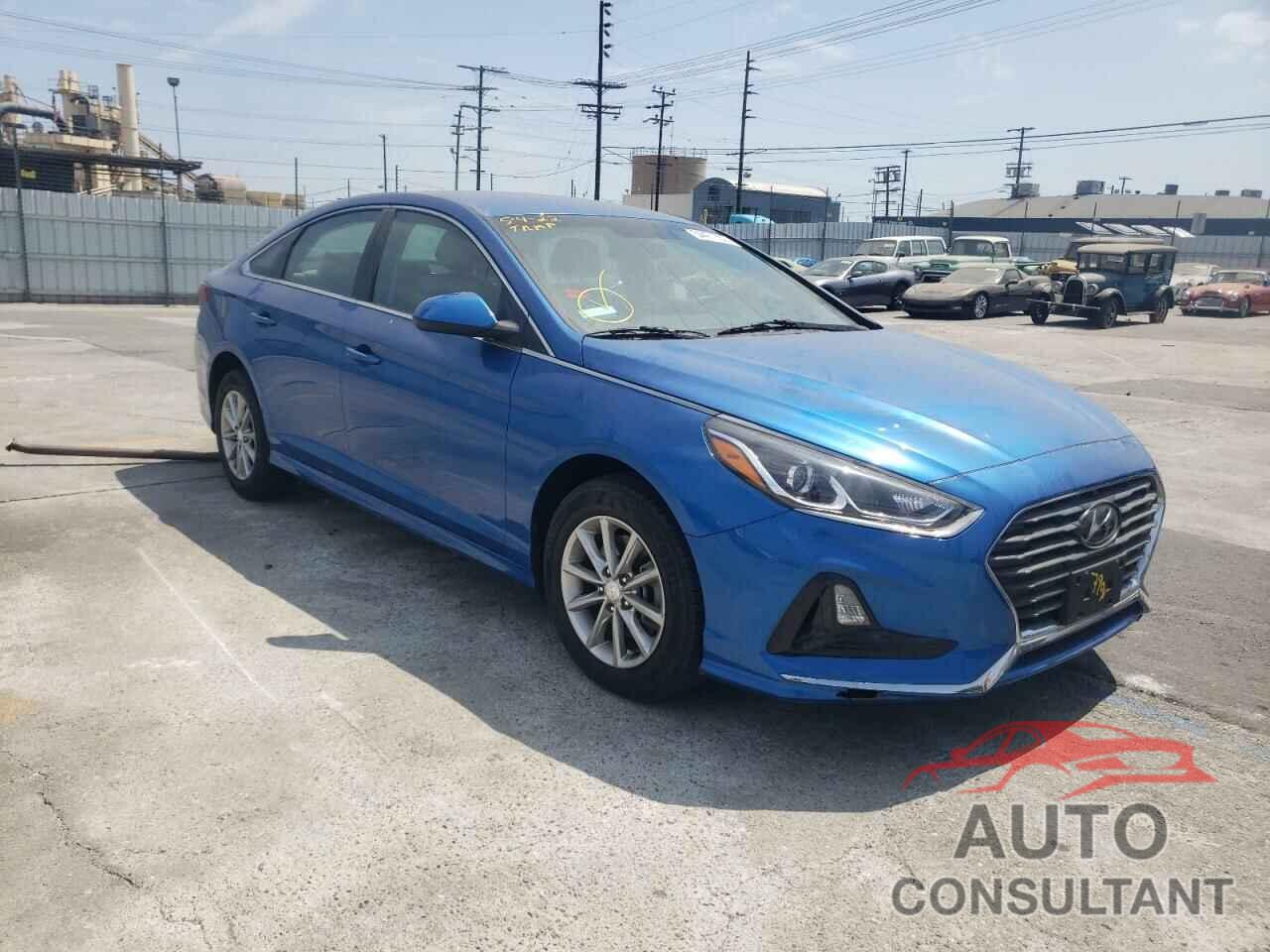 HYUNDAI SONATA 2019 - 5NPE24AF7KH747904
