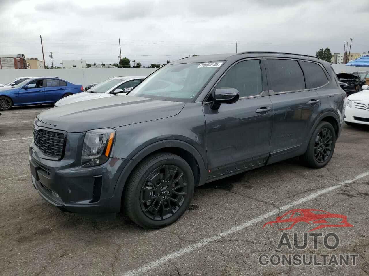 KIA TELLURIDE 2022 - 5XYP5DHC3NG236245