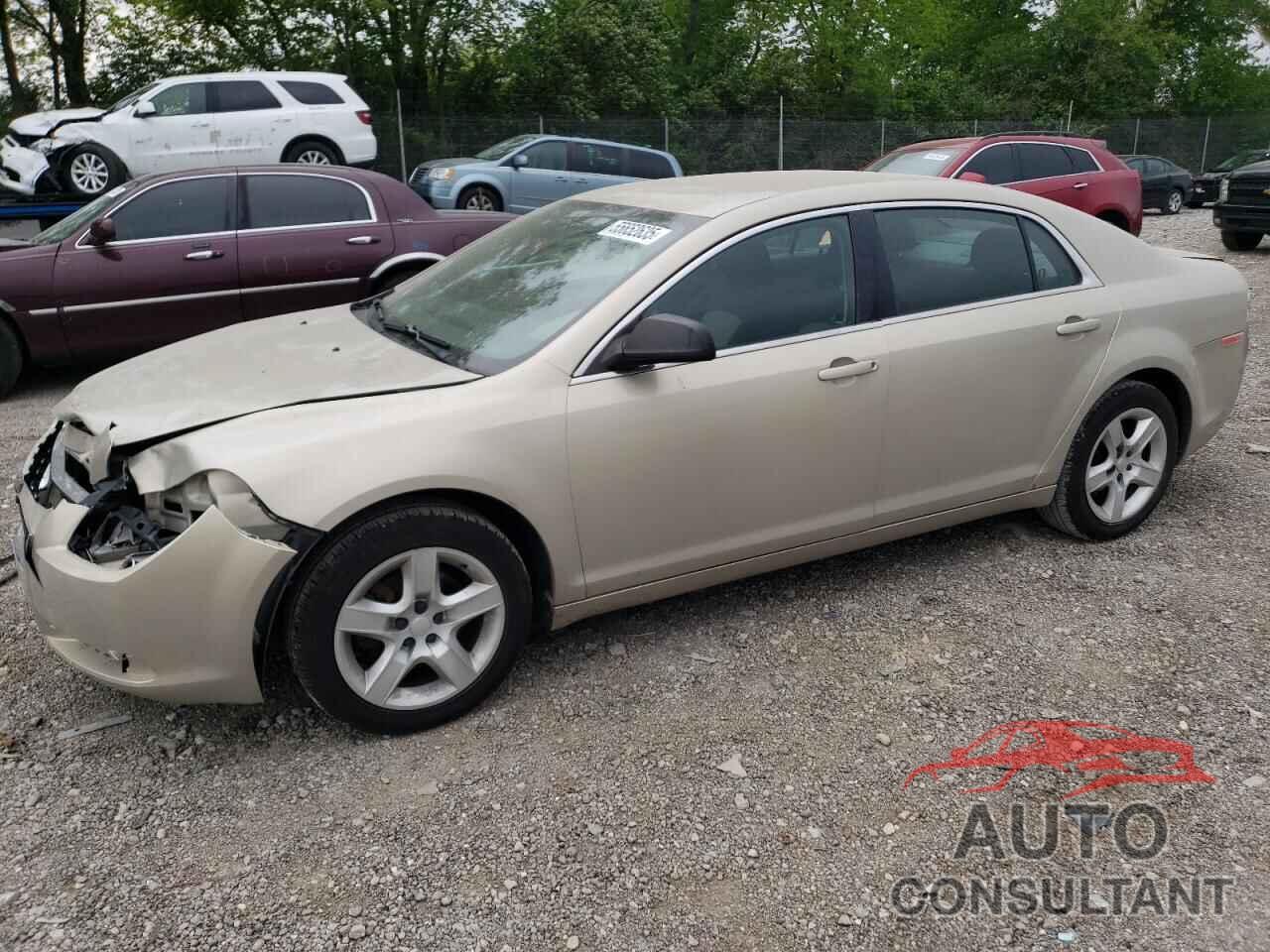 CHEVROLET MALIBU 2012 - 1G1ZA5EU6CF281096