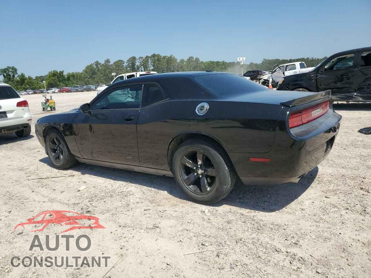 DODGE CHALLENGER 2013 - 2C3CDYAG4DH511941