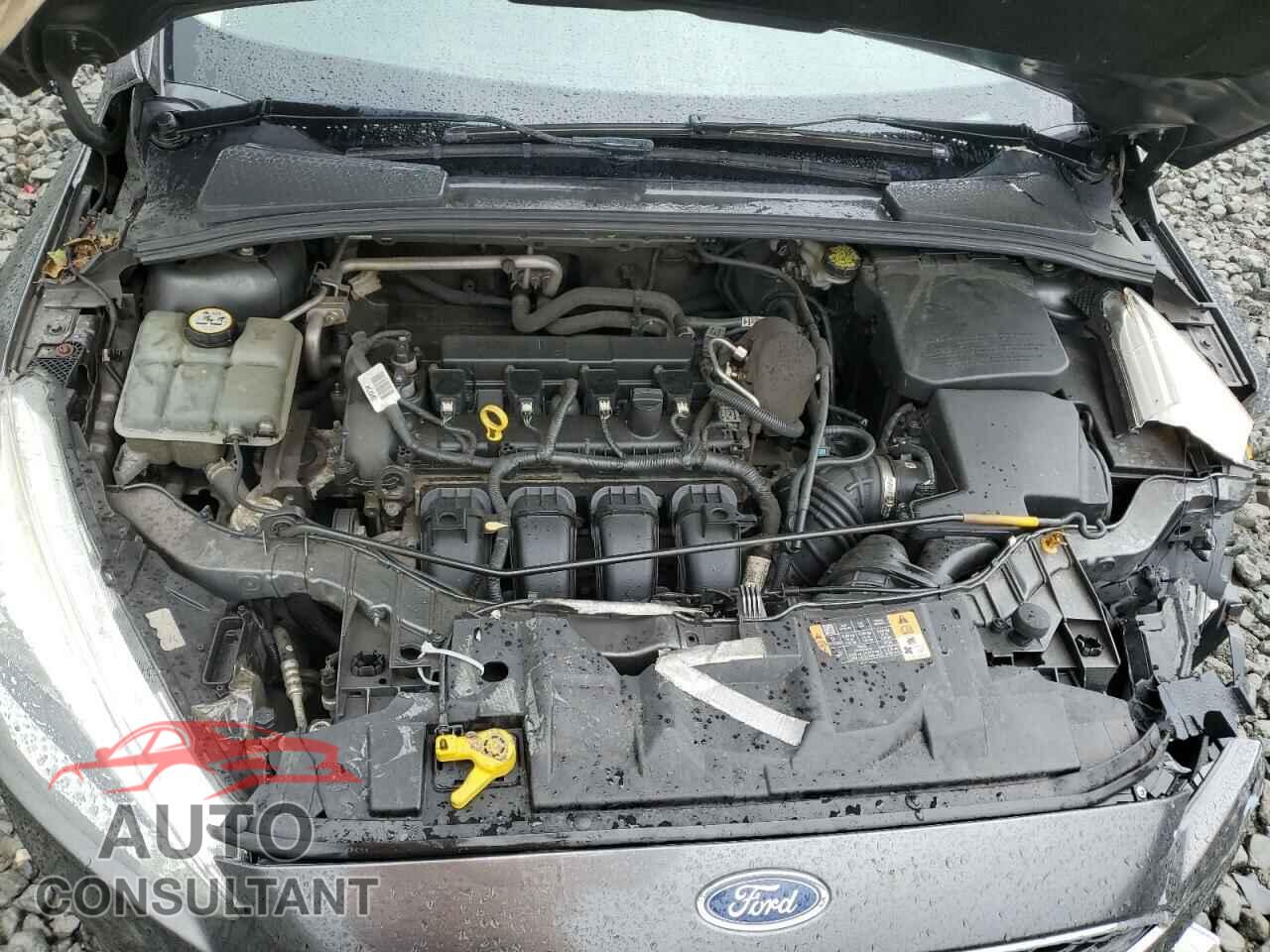 FORD FOCUS 2016 - 1FADP3E27GL232974