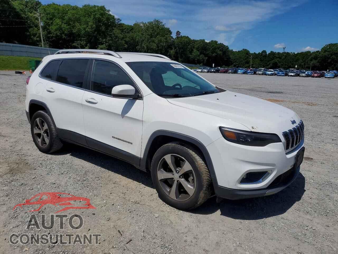 JEEP CHEROKEE 2019 - 1C4PJMDX2KD166350