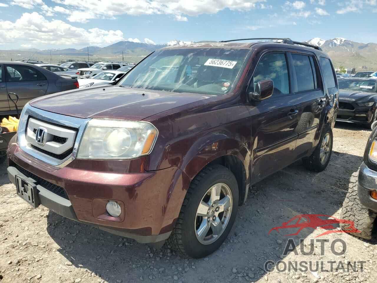 HONDA PILOT 2009 - 5FNYF48629B023618