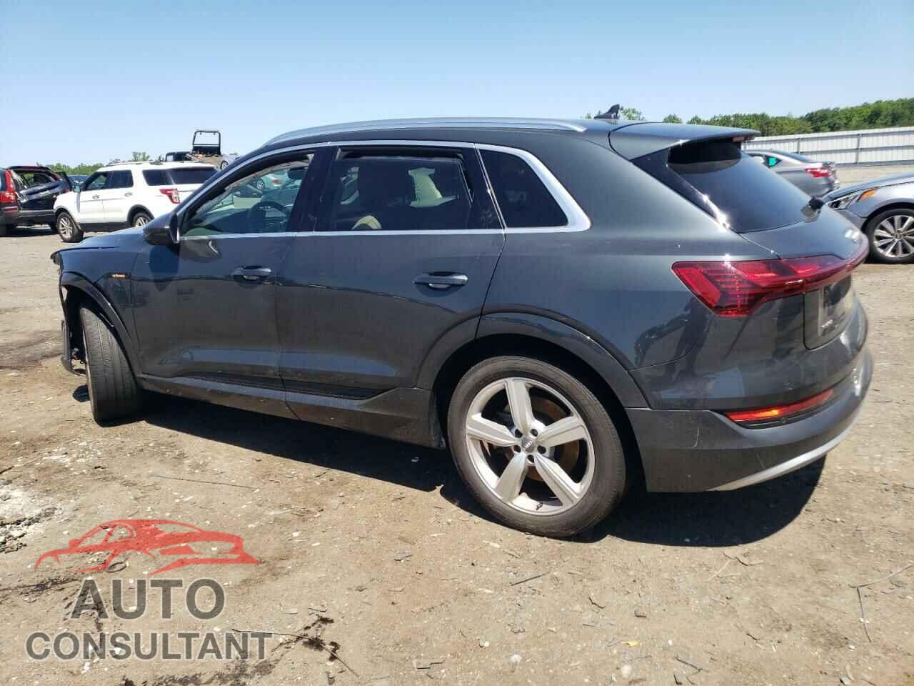 AUDI E-TRON 2019 - WA1LAAGE7KB010219