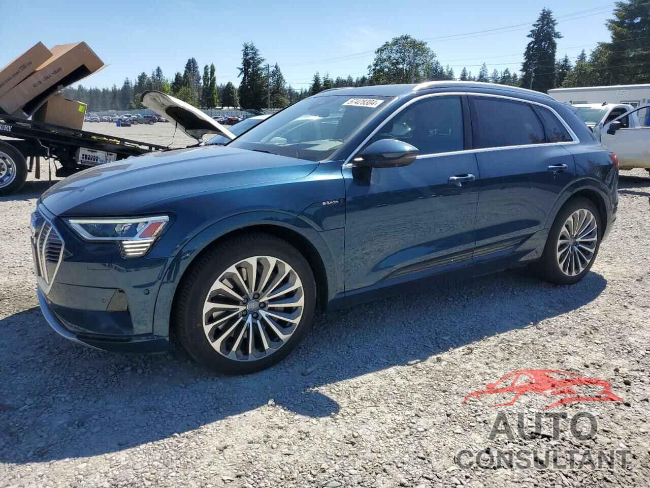 AUDI E-TRON 2019 - WA1VAAGE3KB021940