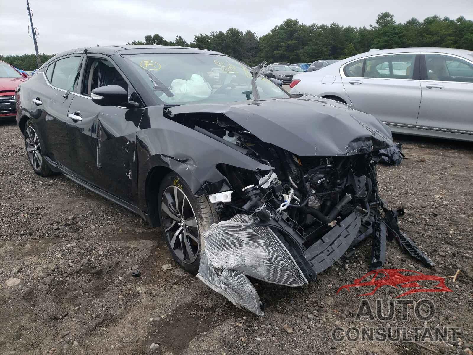 NISSAN MAXIMA 2019 - 1N4AA6AV3KC365813