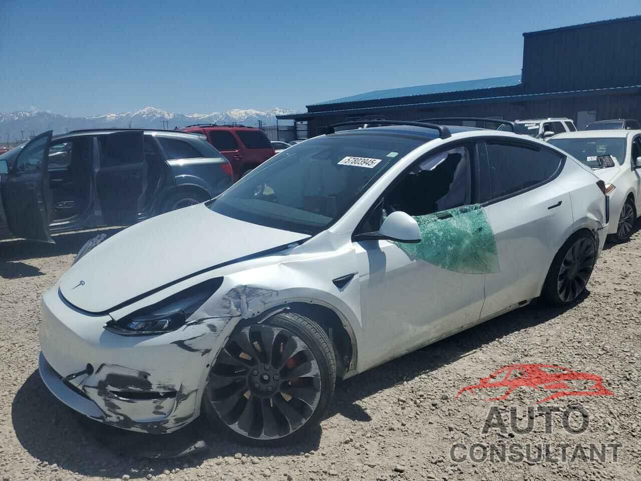 TESLA MODEL Y 2022 - 7SAYGDEF4NF522984