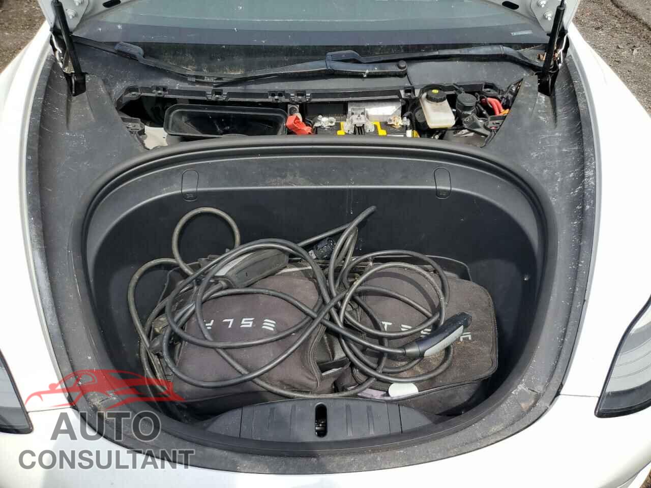 TESLA MODEL 3 2019 - 5YJ3E1EA2KF486532
