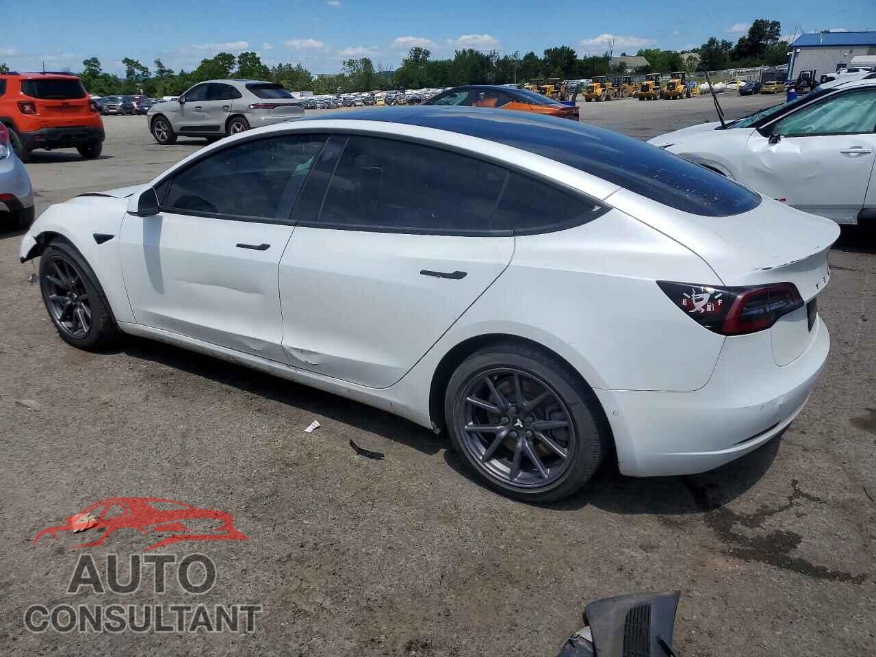 TESLA MODEL 3 2019 - 5YJ3E1EA1KF401390
