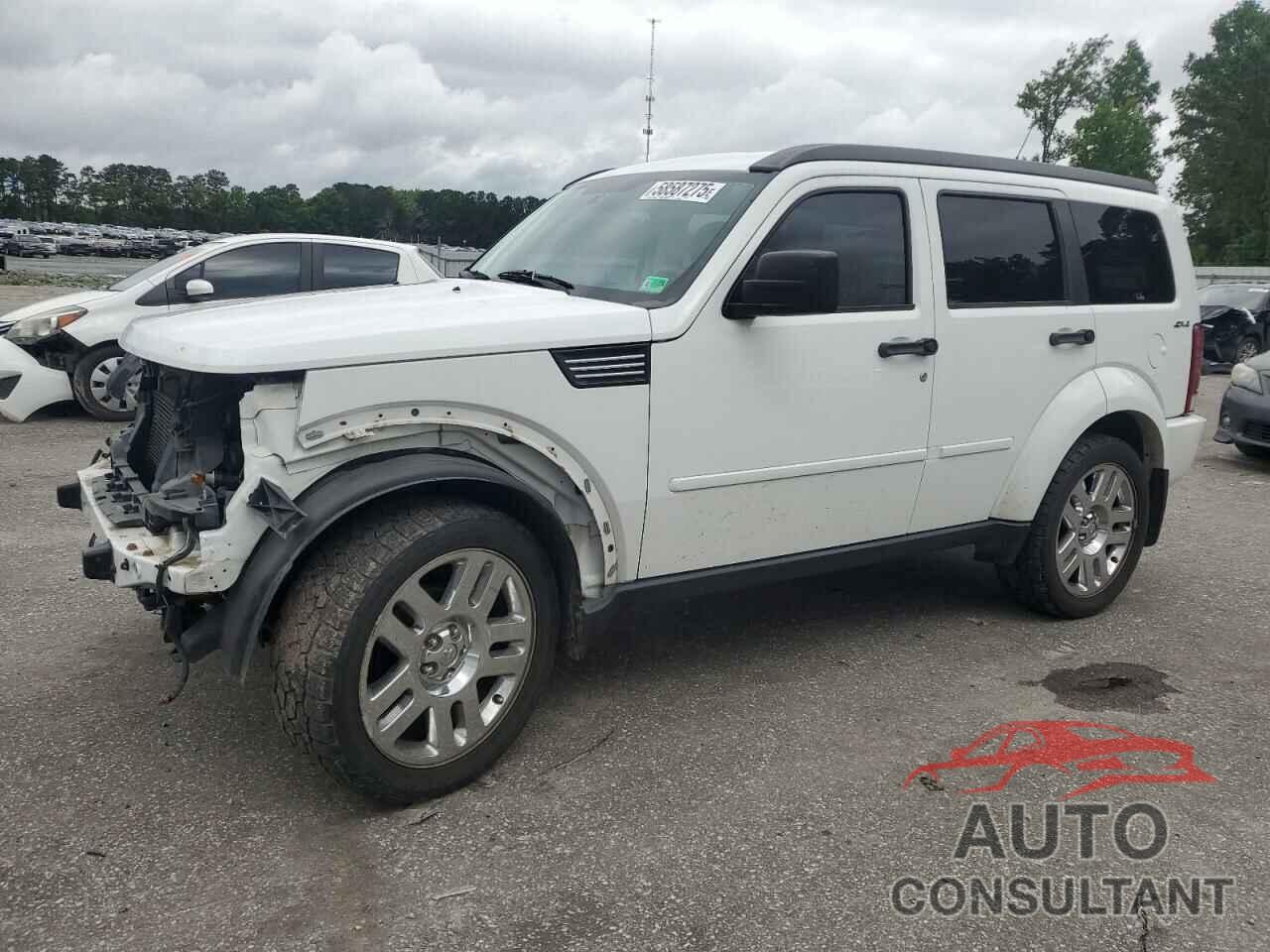 DODGE NITRO 2011 - 1D4PU4GK9BW529192