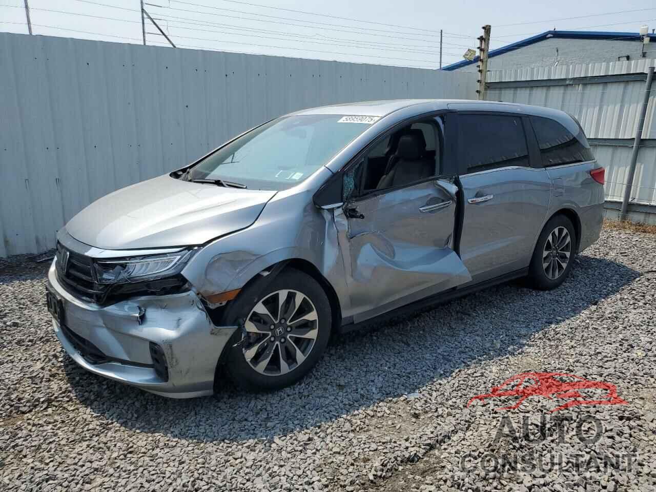 HONDA All Models 2023 - 5FNRL6H61PB018061