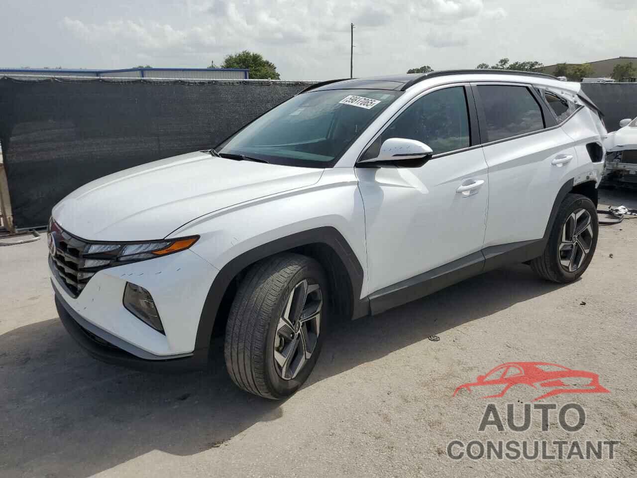 HYUNDAI TUCSON 2024 - KM8JCCD10RU138011